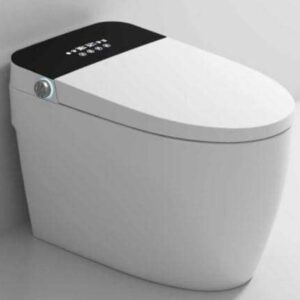 Chioce Dino concealed Intelligent wc Operated with remote