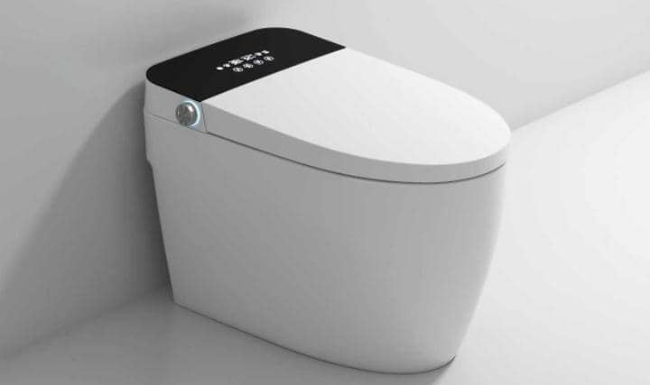 Chioce Dino concealed Intelligent wc Operated with remote